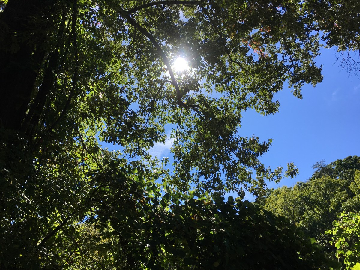 Prayer of Confession&nbsp;1